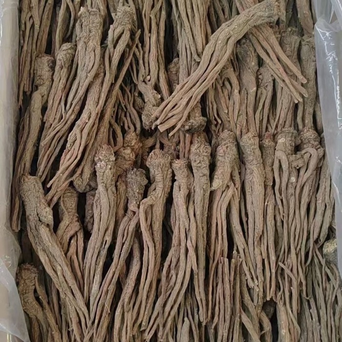 Angelica Sinensis product photo