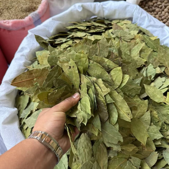 Bay Leaf product photo