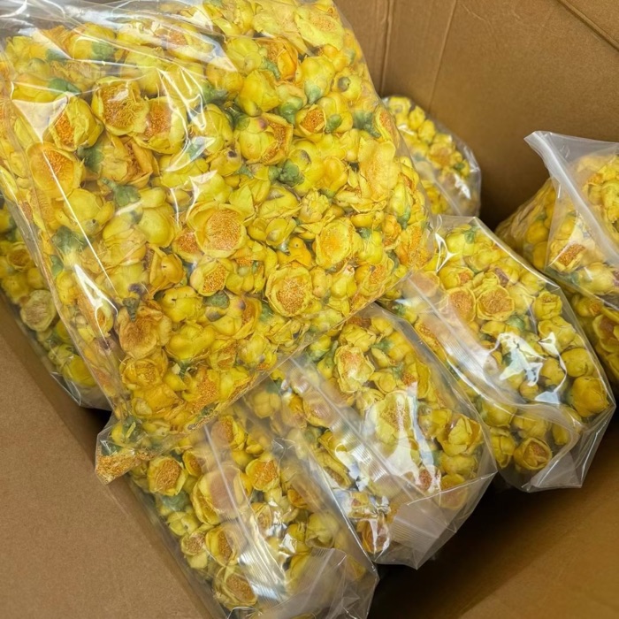 Camellia product photo
