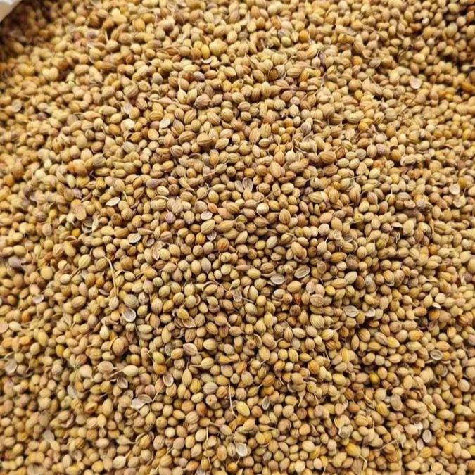 Coriander Seeds product photo