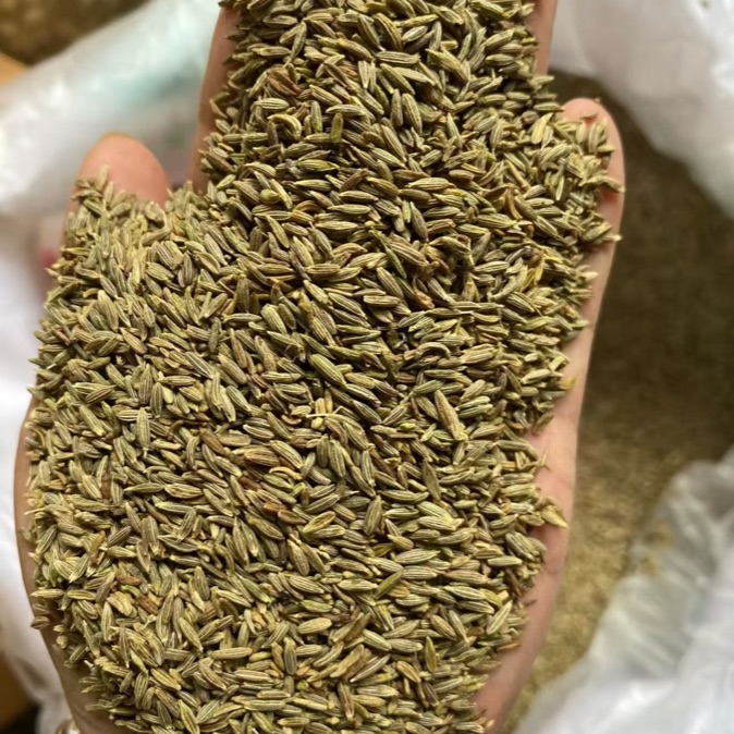Cumin Seeds product photo