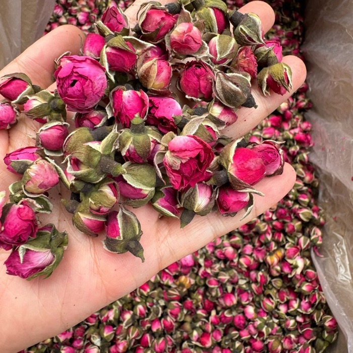 Golden-edge Rose product photo