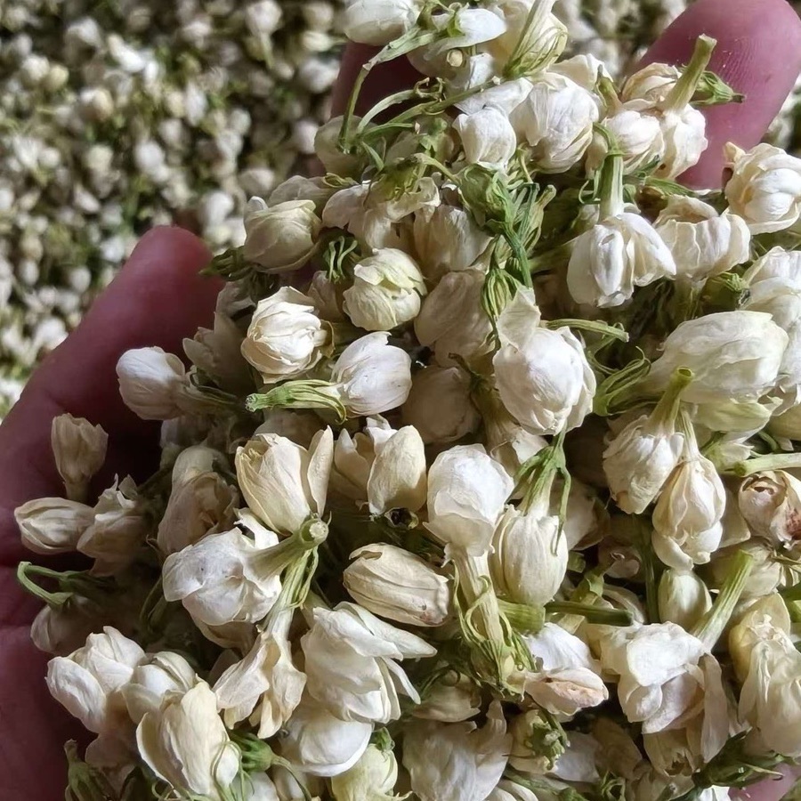Jasmine Flower Buds product photo