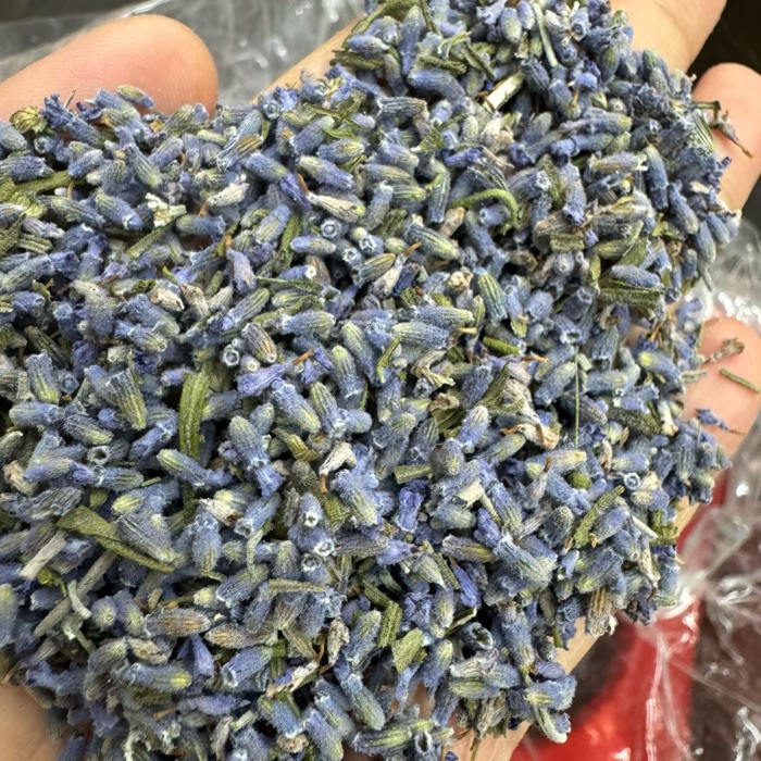 Lavender product photo
