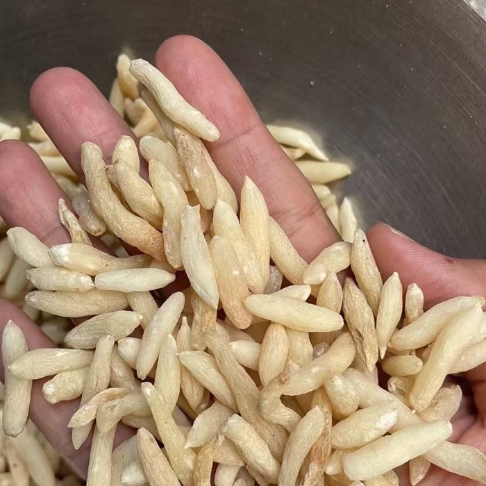 Ophiopogon Root product photo