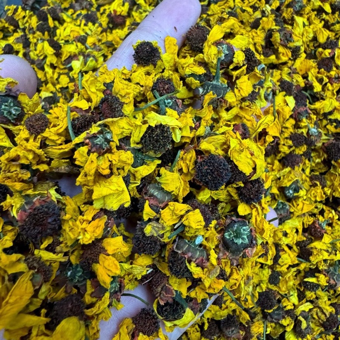 Snow Chrysanthemum product photo