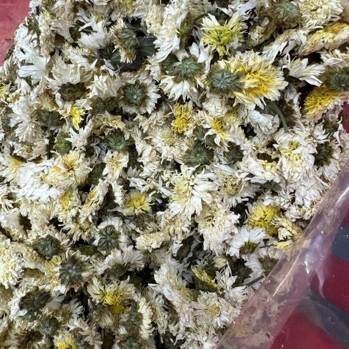 White Chrysanthemum product photo
